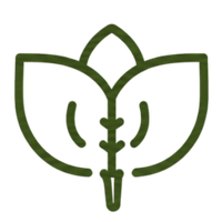 Untitled Design 6